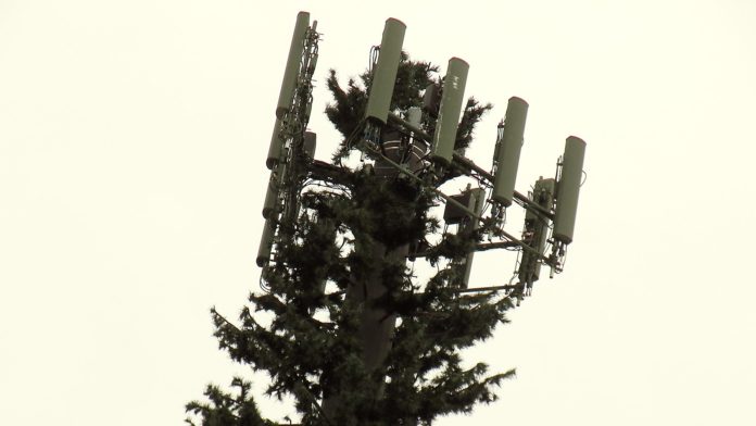 fake cell tower