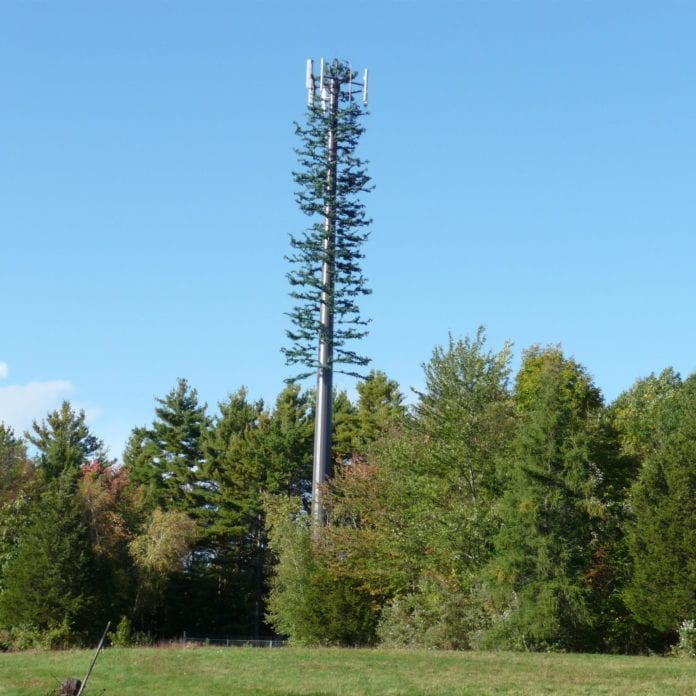 cell tower tree