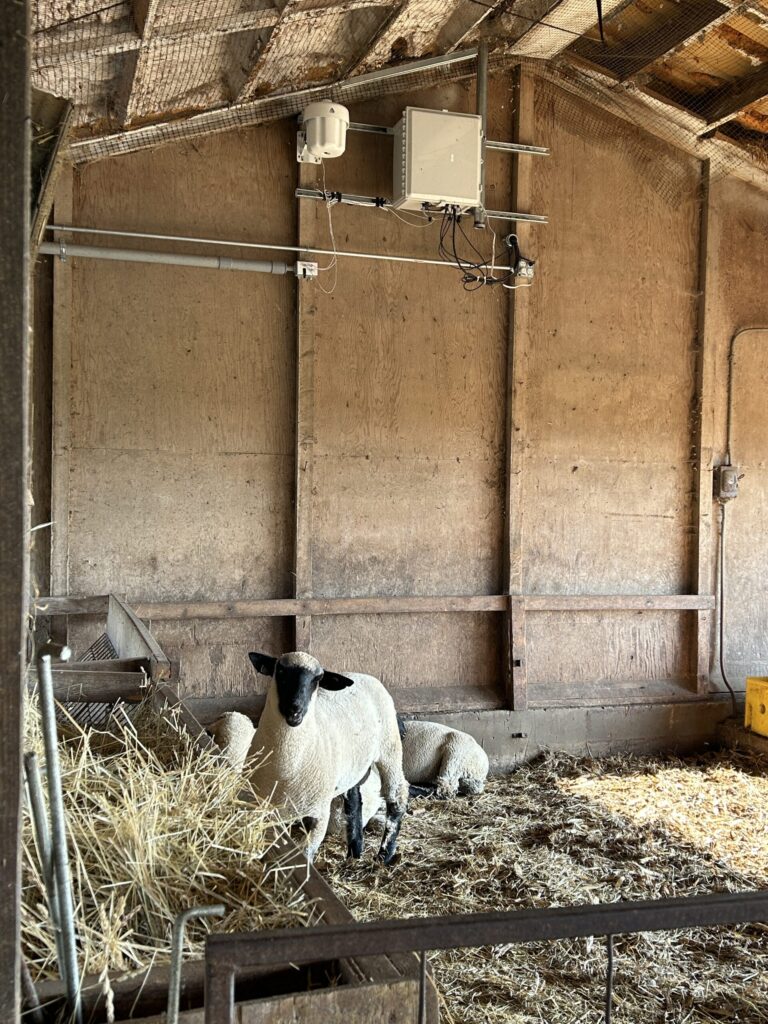 PAWR's rural 5G SA testbed goes live 6 ARAsheep
