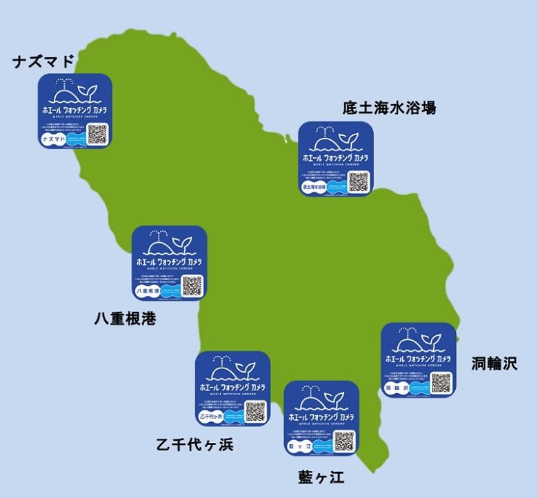 Fujitsu Whale AI2