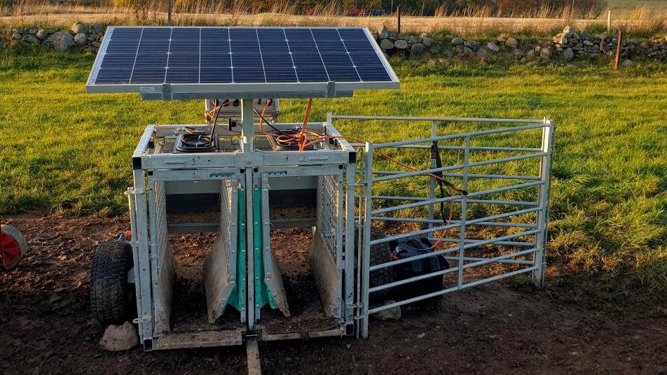 Mary had a little lamb… and farmed it with IoT and AI 6 UK Agri Tech