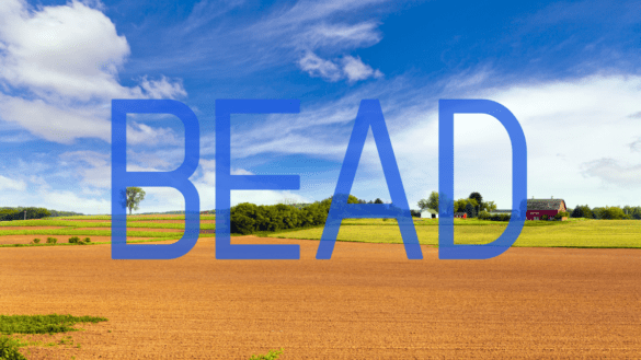 bead funding